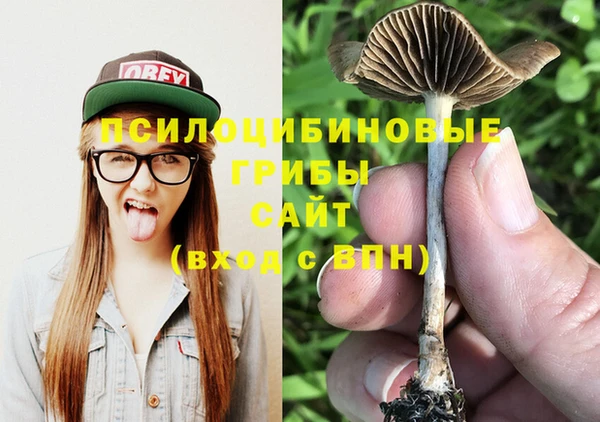 jwh Костерёво