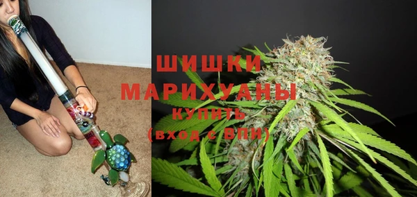 ECSTASY Армянск