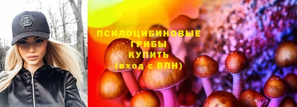 PSILOCYBIN Коряжма