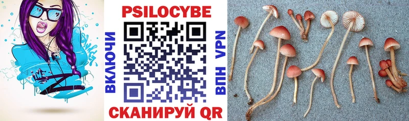 Галлюциногенные грибы мицелий  наркота  Новохопёрск 